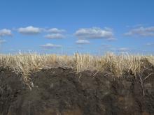 Healty Tschernozem topsoil